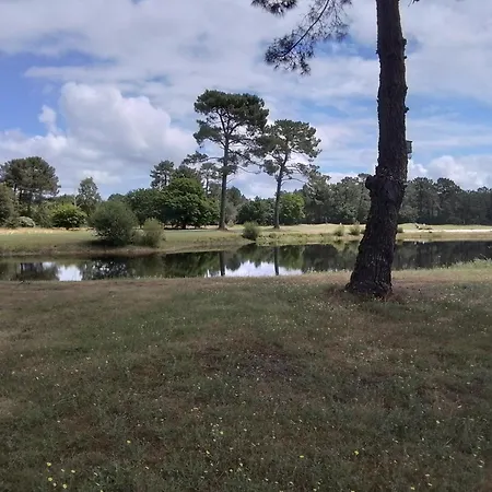 Bed and Breakfast Saint Barth Gujan-Mestras