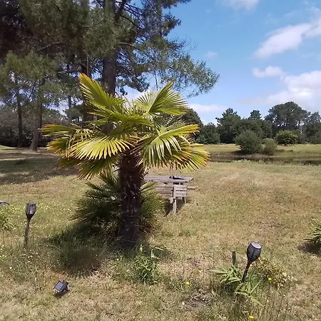 Saint Barth 4* Gujan-Mestras