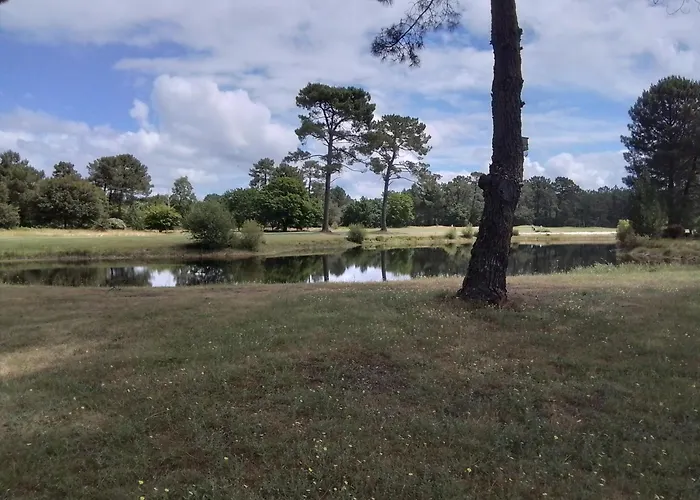 Bed & Breakfast Saint Barth Gujan-Mestras