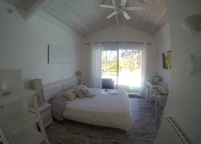 Bed & Breakfast Saint Barth Gujan-Mestras