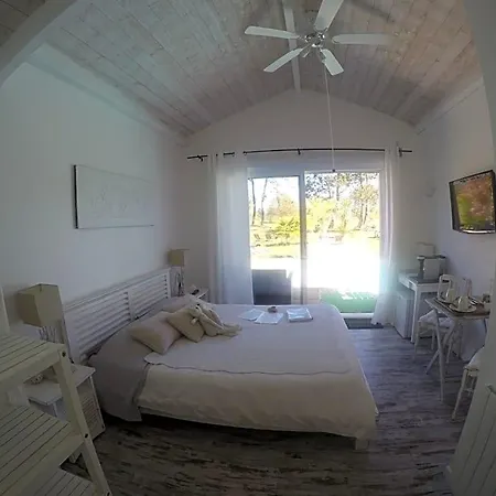 Saint Barth Bed & Breakfast Gujan-Mestras